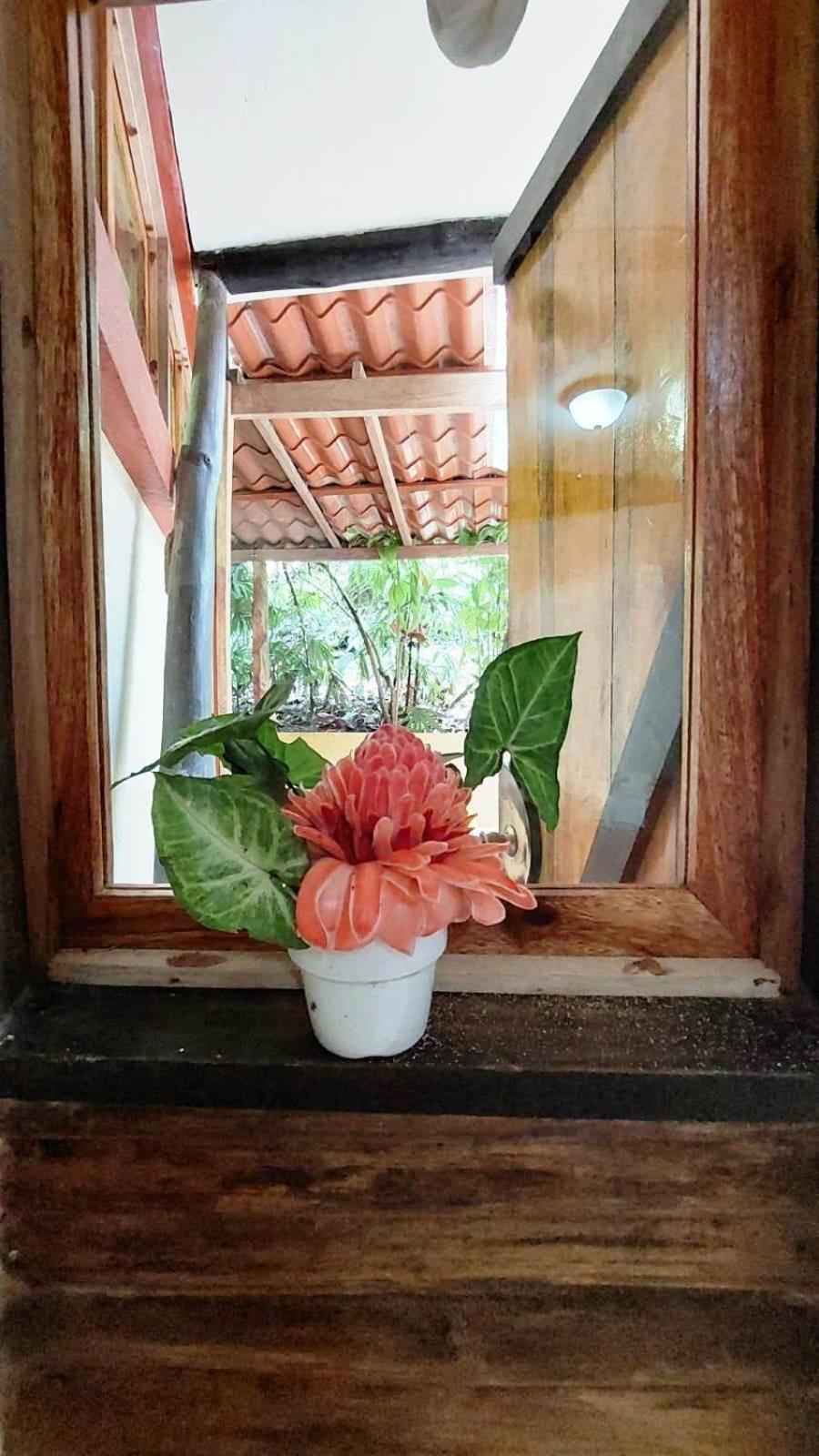 Bed and Breakfast Se Ua Manzanillo  Zewnętrze zdjęcie
