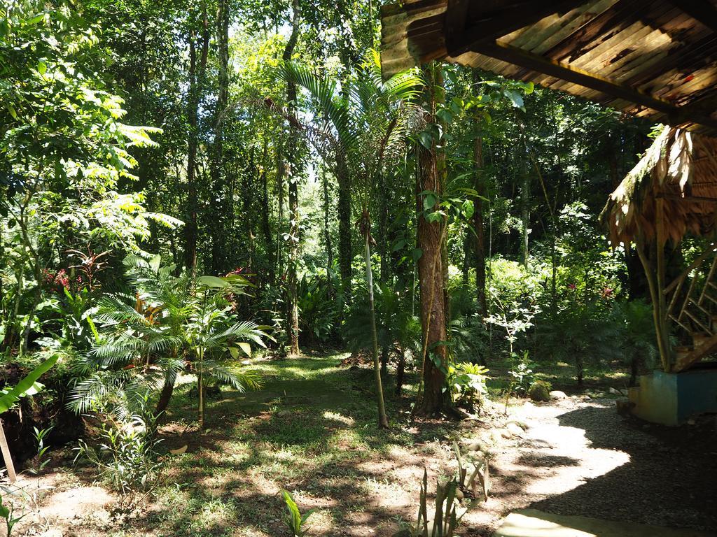 Bed and Breakfast Se Ua Manzanillo  Zewnętrze zdjęcie